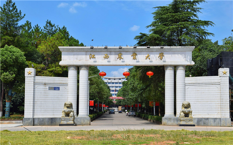 江西农业大学首页
