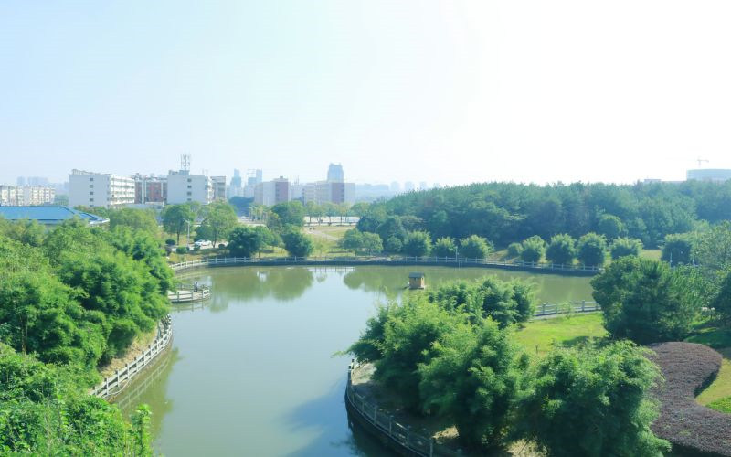 水上校园