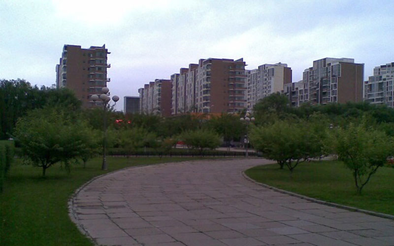 林荫小道