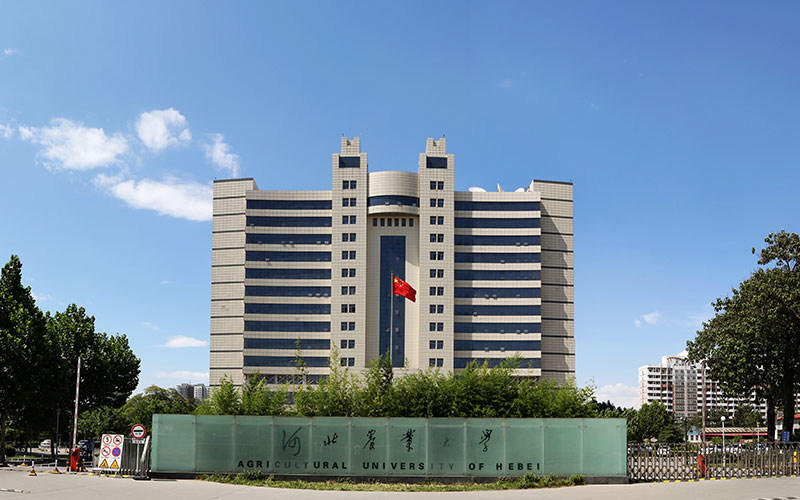 校园建筑