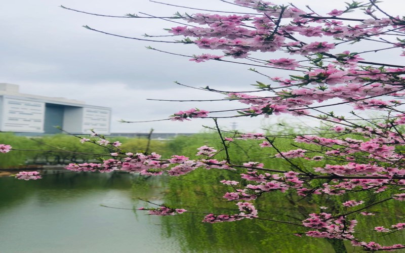 风景图片
