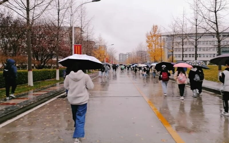 校园雨景