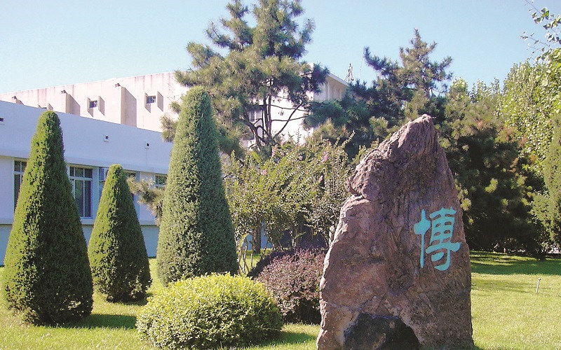 校园景色