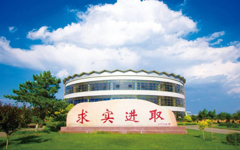 景观石