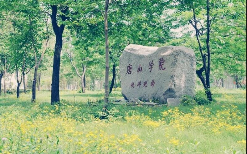 景观石