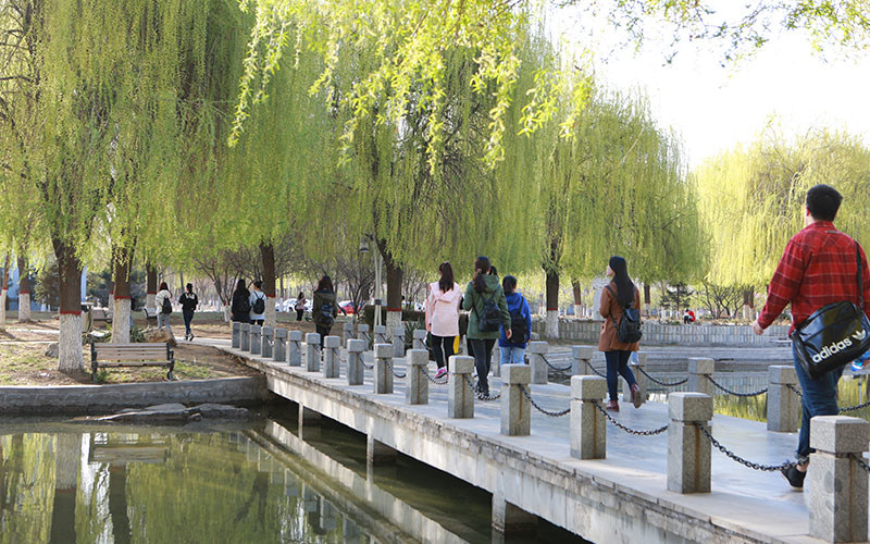 水上小桥