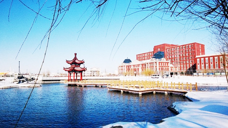 校园冬景