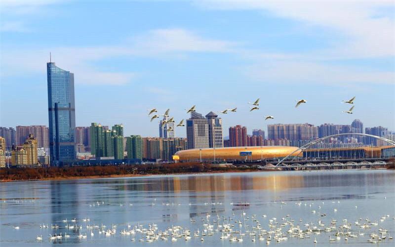 三门峡社会管理职业学院首页