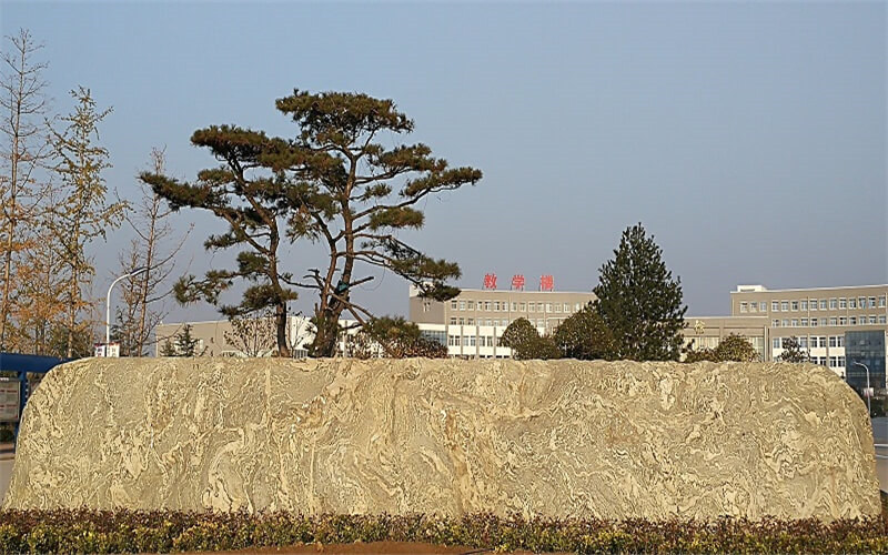 学院景观石