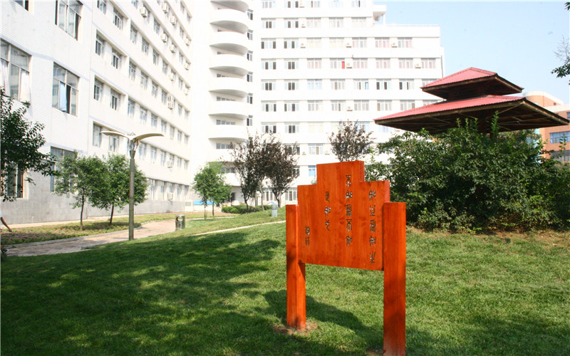 校园景色