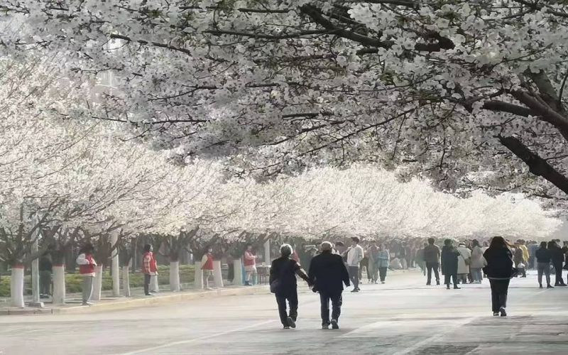 校园景色