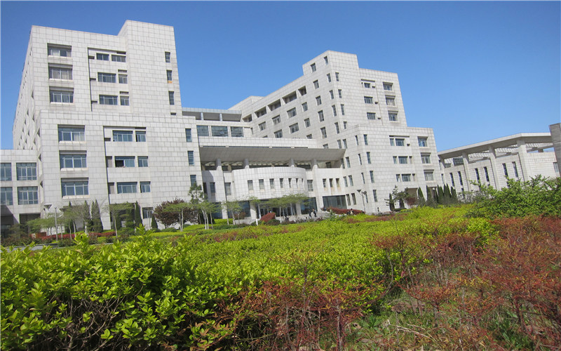 校园景色