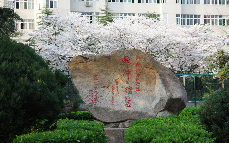 景观石