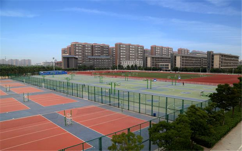 运动场