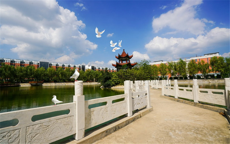 水上小桥
