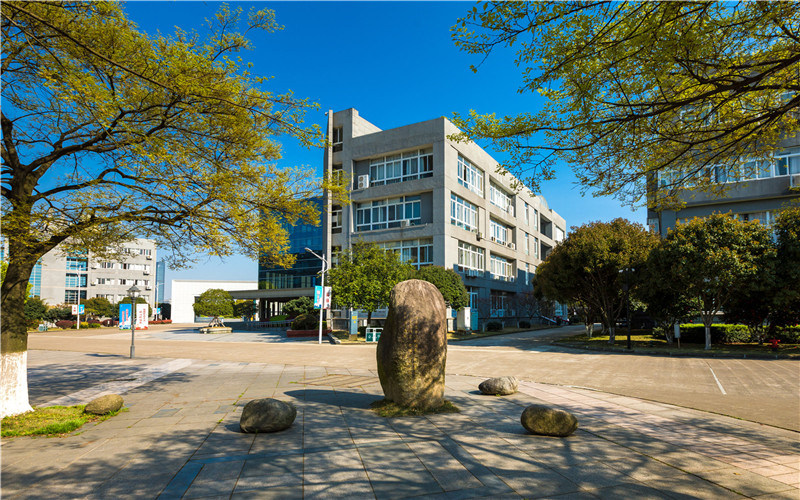 学院景观