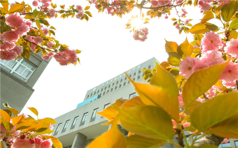 学院景色
