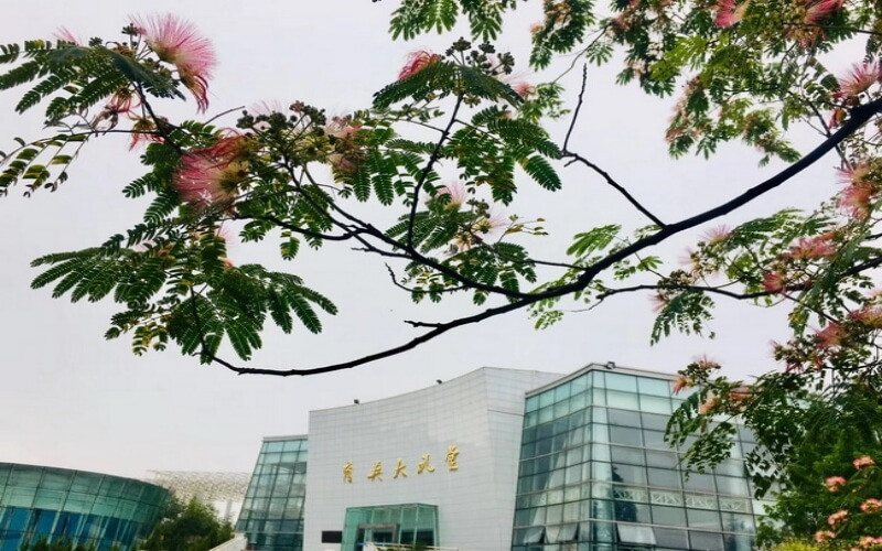 校园景色