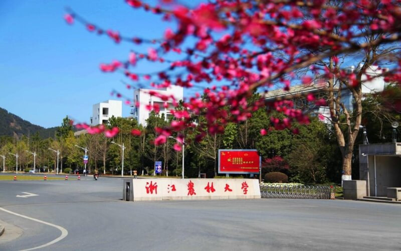 校门