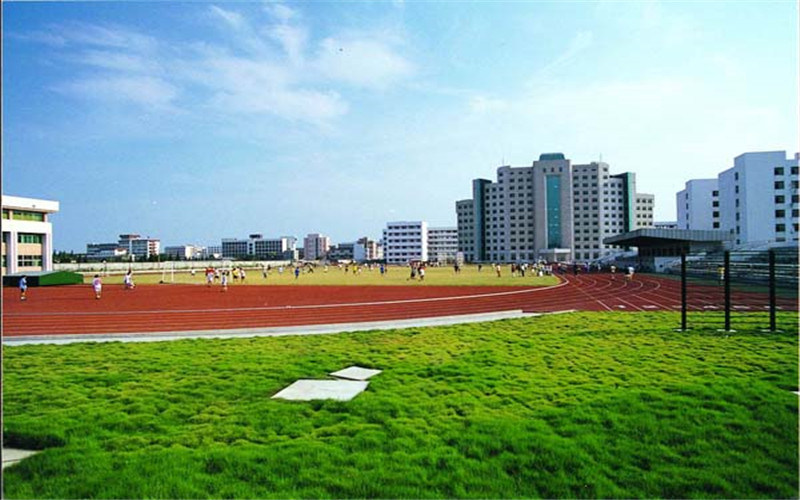 运动场