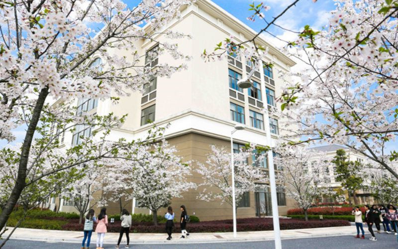 学院风光