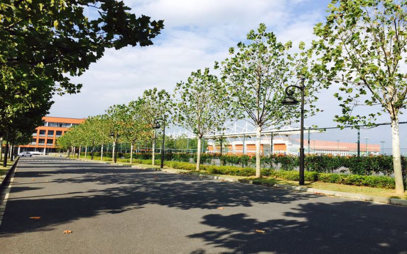学院景色