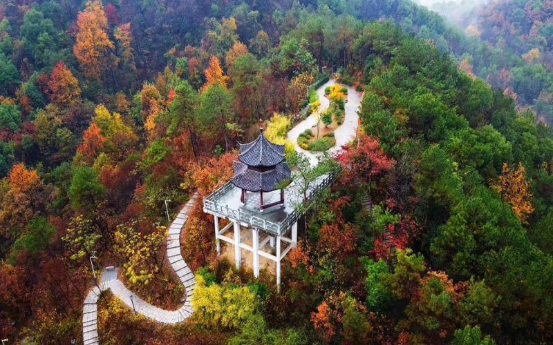 学院风景