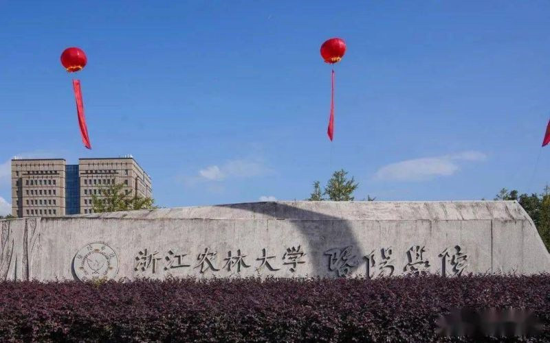 景观石