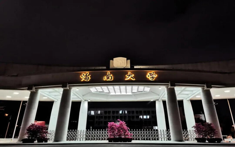 夜色校园