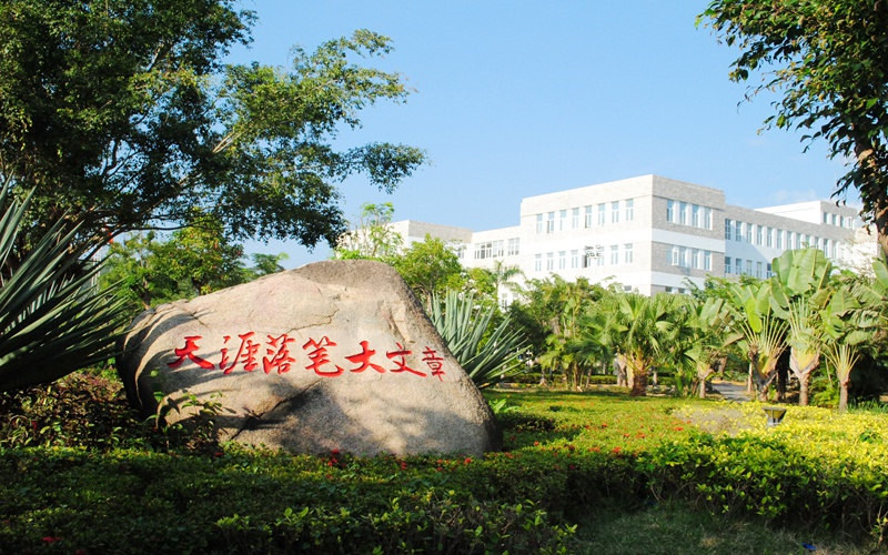 景观石