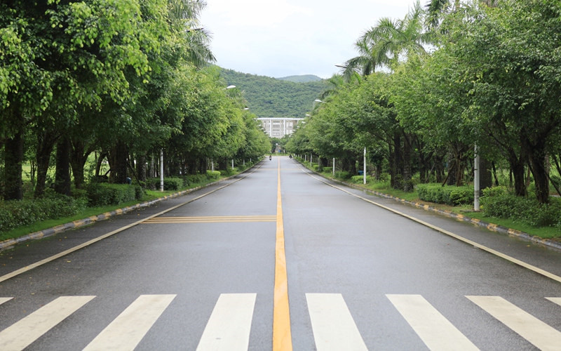 林荫小道