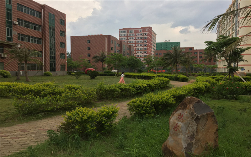 林荫小道