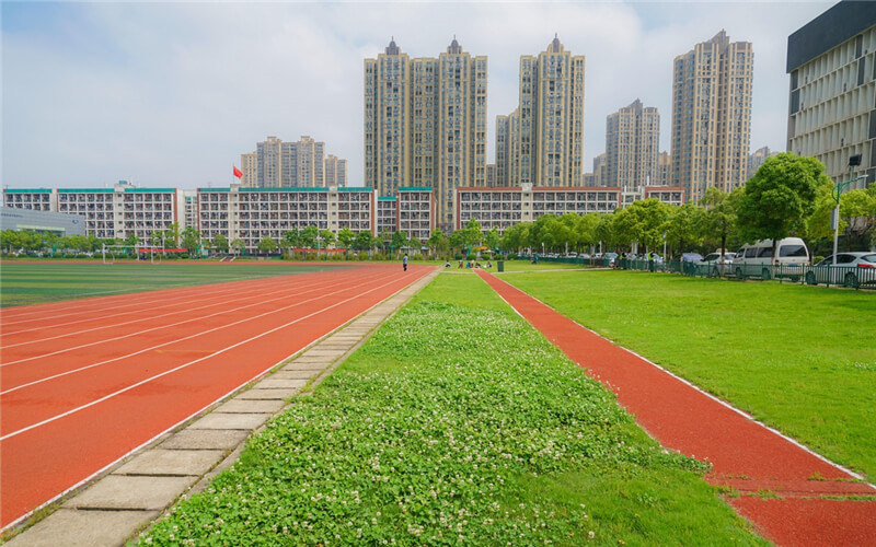 运动场