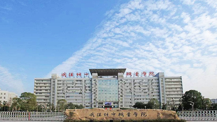 武汉城市职业学院首页