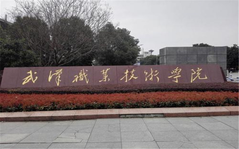 武汉职业技术学院首页