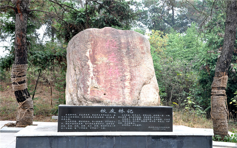 景观石