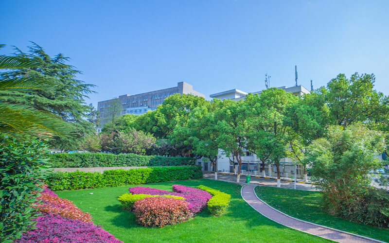学院绿化
