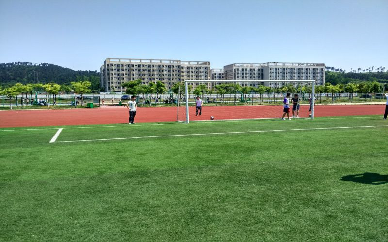 运动场