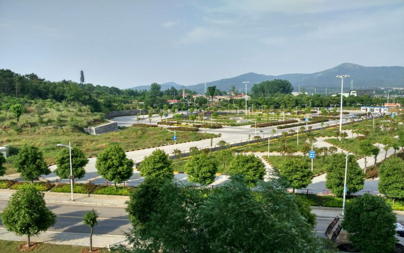 学院绿化