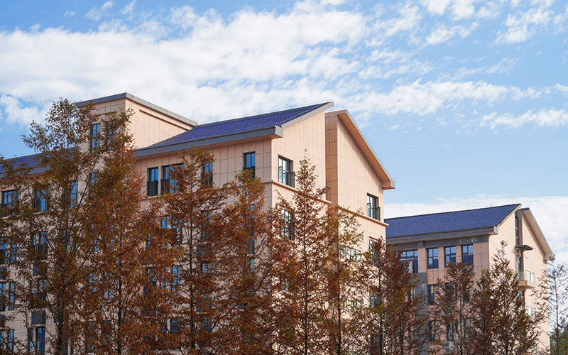 学院景色