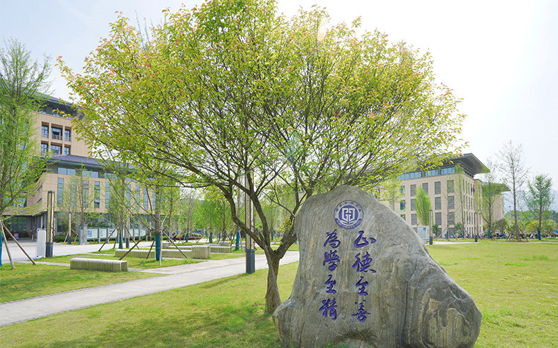 景观石