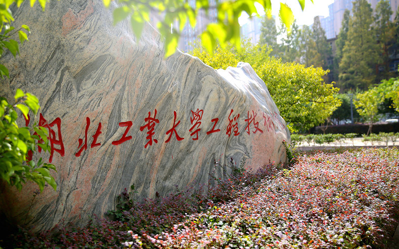 景观石