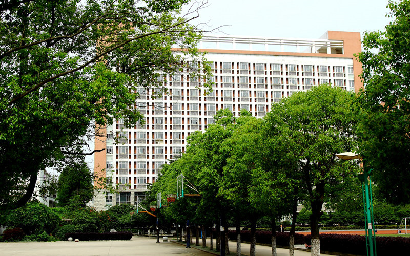 学院绿化