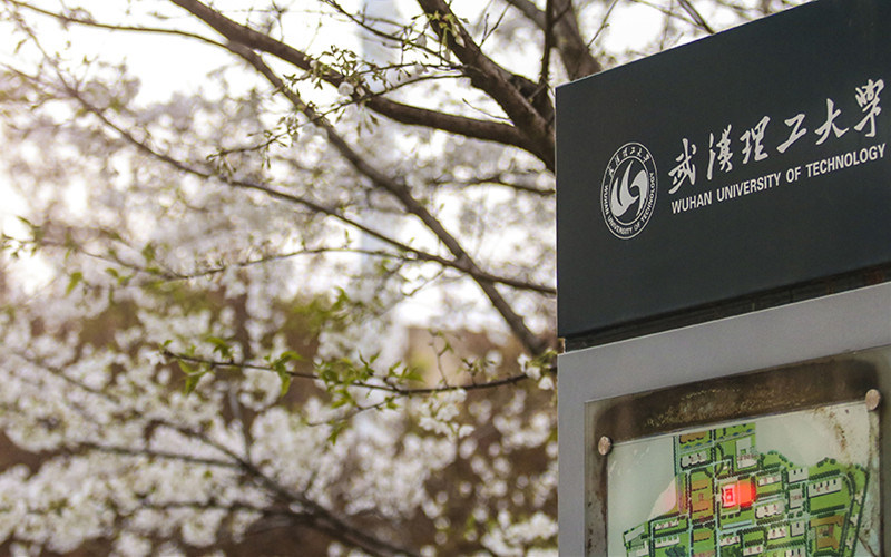校园一角
