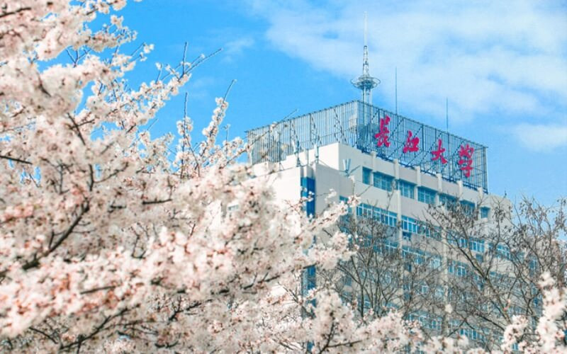 校园景色