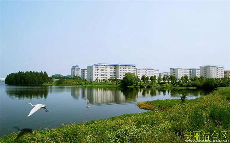 水上校园