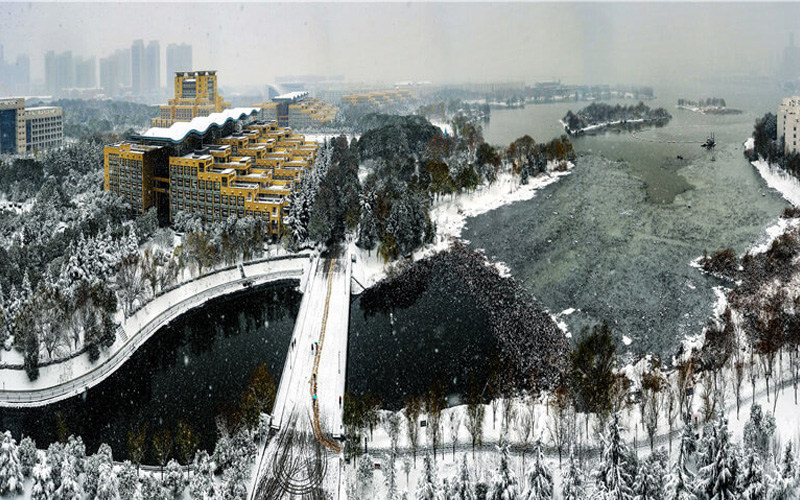 校园冬景