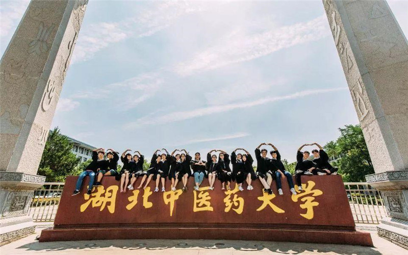 湖北中医药大学首页