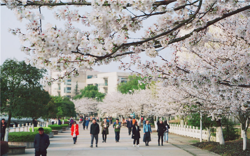 学院风景