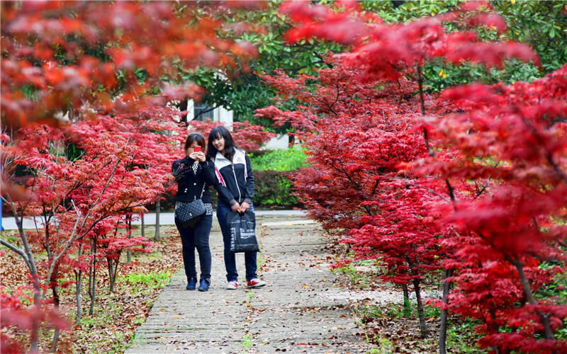 学院风景